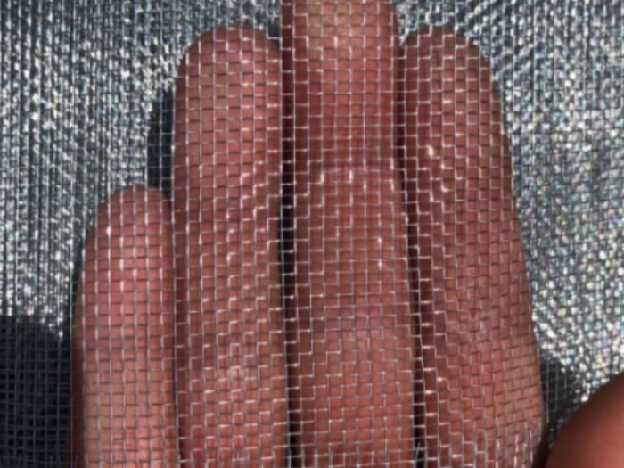 Galvanized Iron Wire Insect Screen