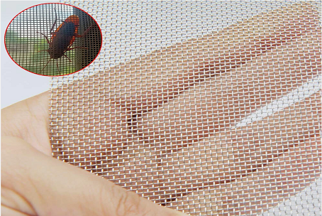 Galvanized Iron Wire Insect Screen Roll Sizes: How to Select the Right Width and Length